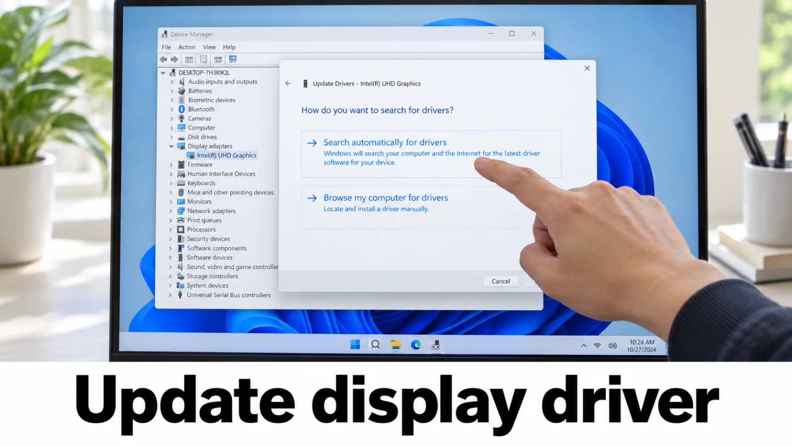 Windows Update driver list plus a vendor download page for display drivers